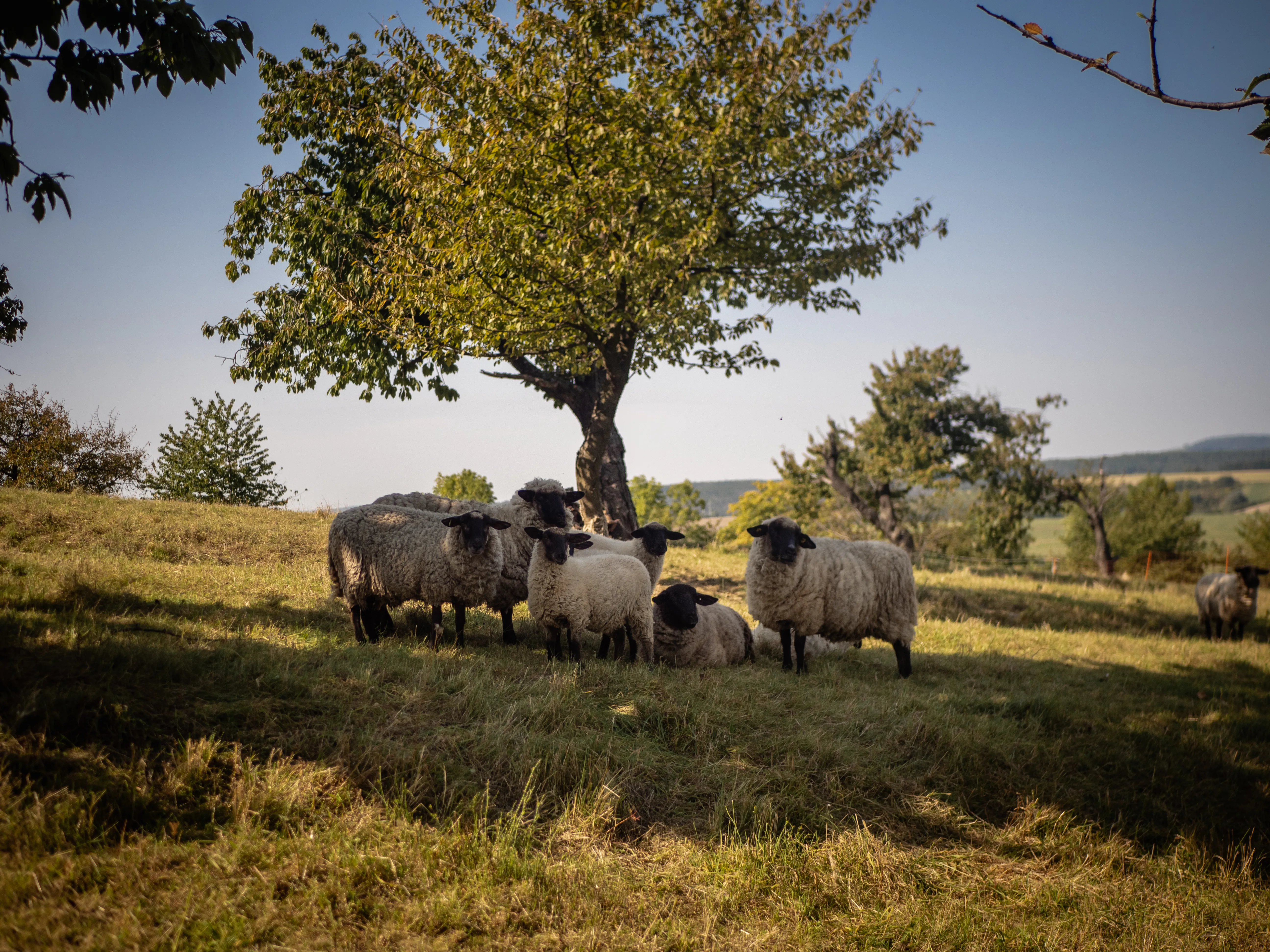Přínos pro komunitu