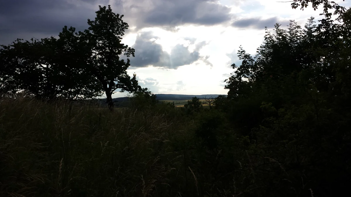 2015 - Původní stav před zahájením obnovy sadu - 10