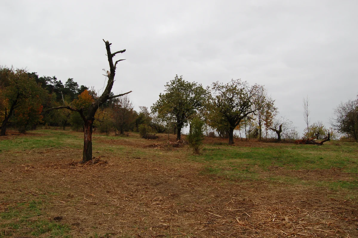 2018 - Září, říjen, listopad - 2