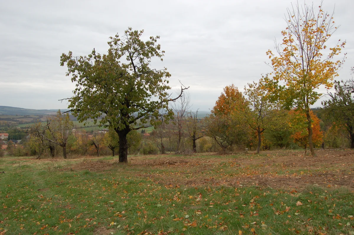 2018 - Září, říjen, listopad - 6