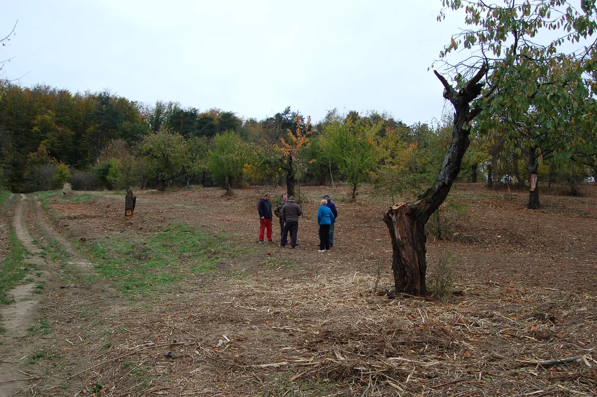2018 - Září, říjen, listopad