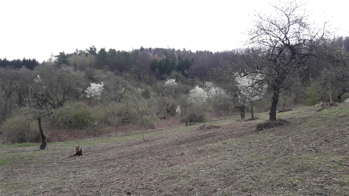 2019 - Březen, duben - 2