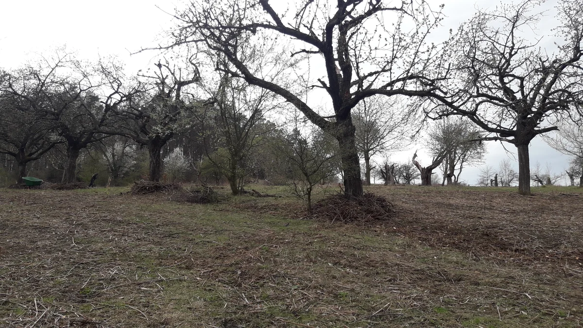 2019 - Březen, duben - 3