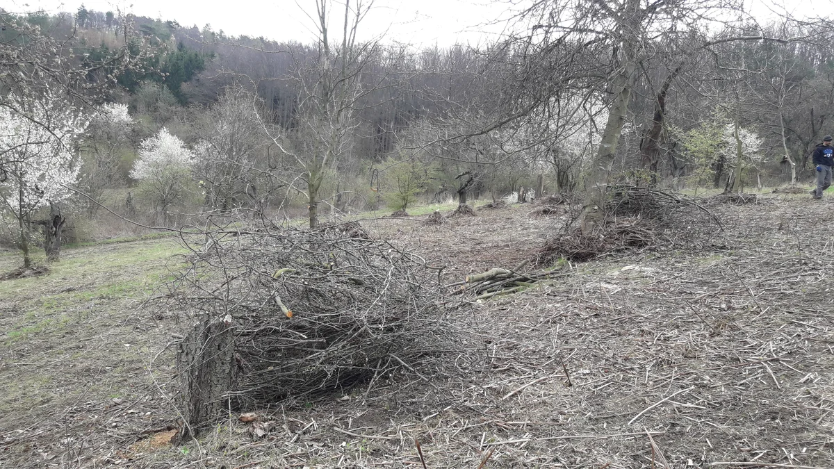 2019 - Březen, duben - 4