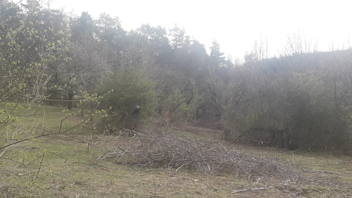 2019 - Březen, duben