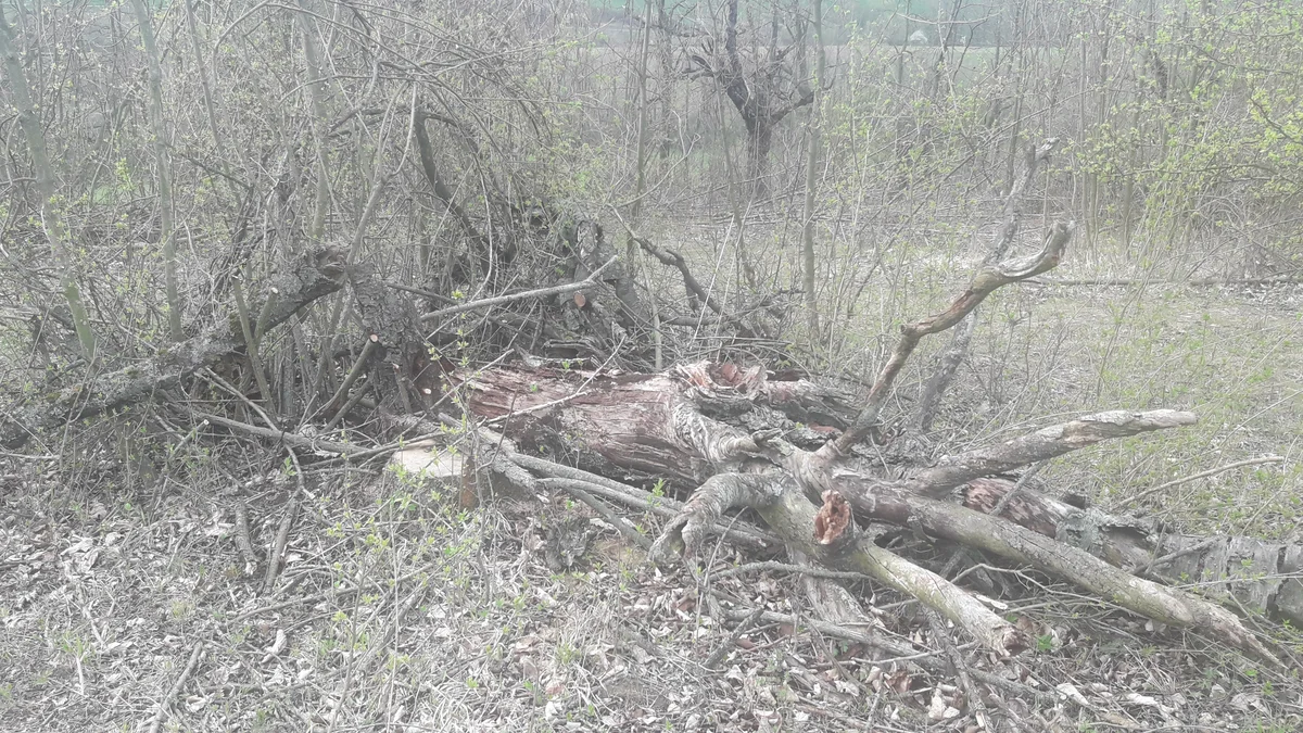 2019 - Březen, duben - 9