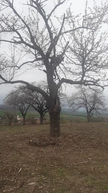 2019 - Březen, duben - 10