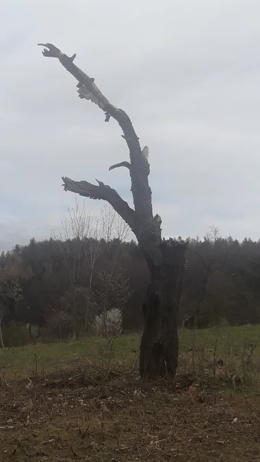 2019 - Březen, duben - 11