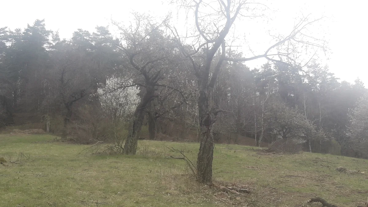 2019 - Březen, duben - 12