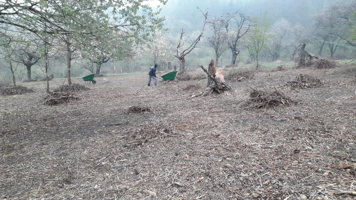 2019 - Březen, duben - 15