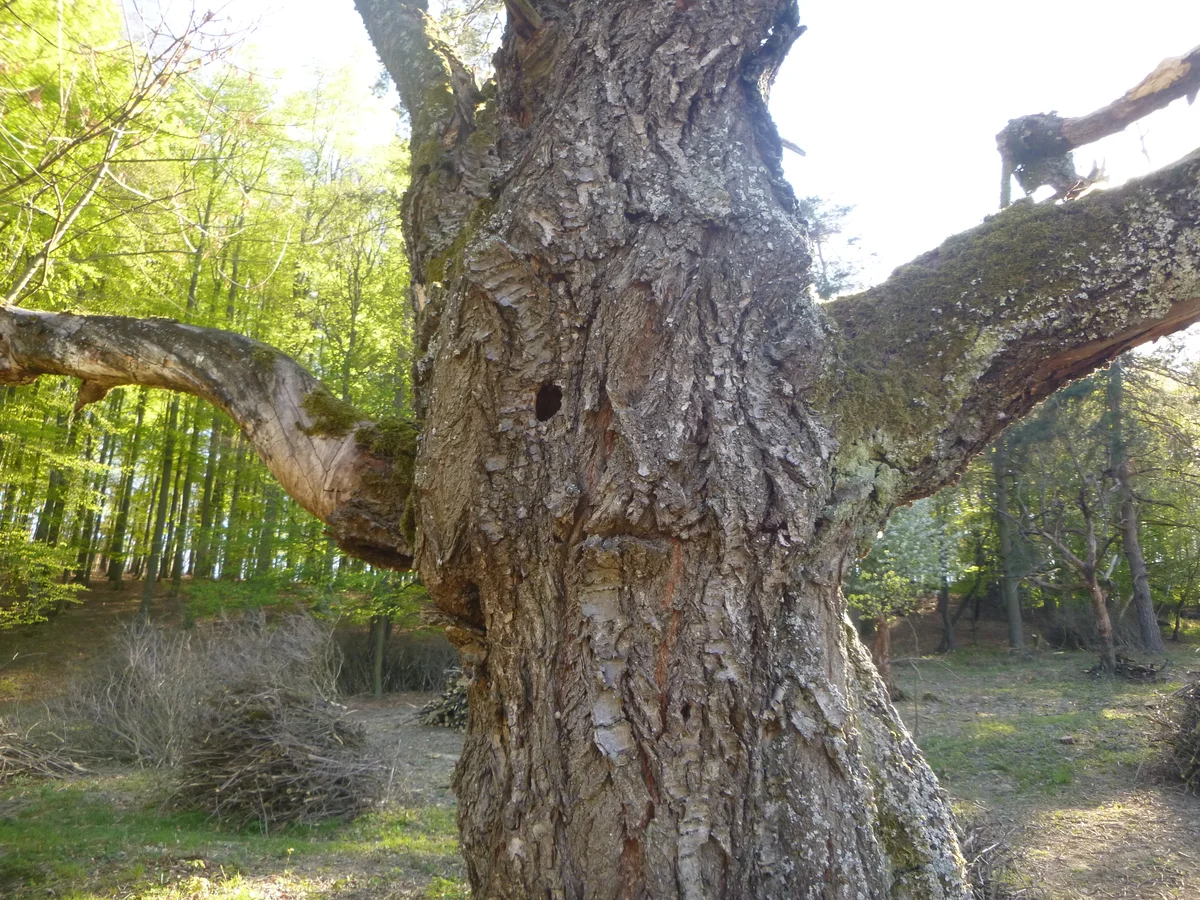 2019 - Březen, duben - 18