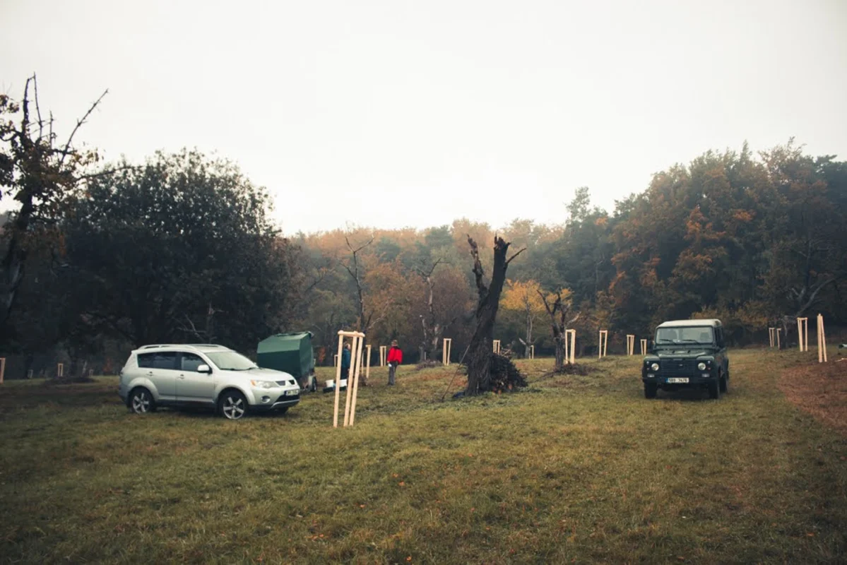 2020 - Říjen - Výsadba - 11