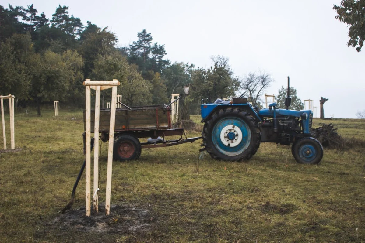 2020 - Říjen - Výsadba - 15