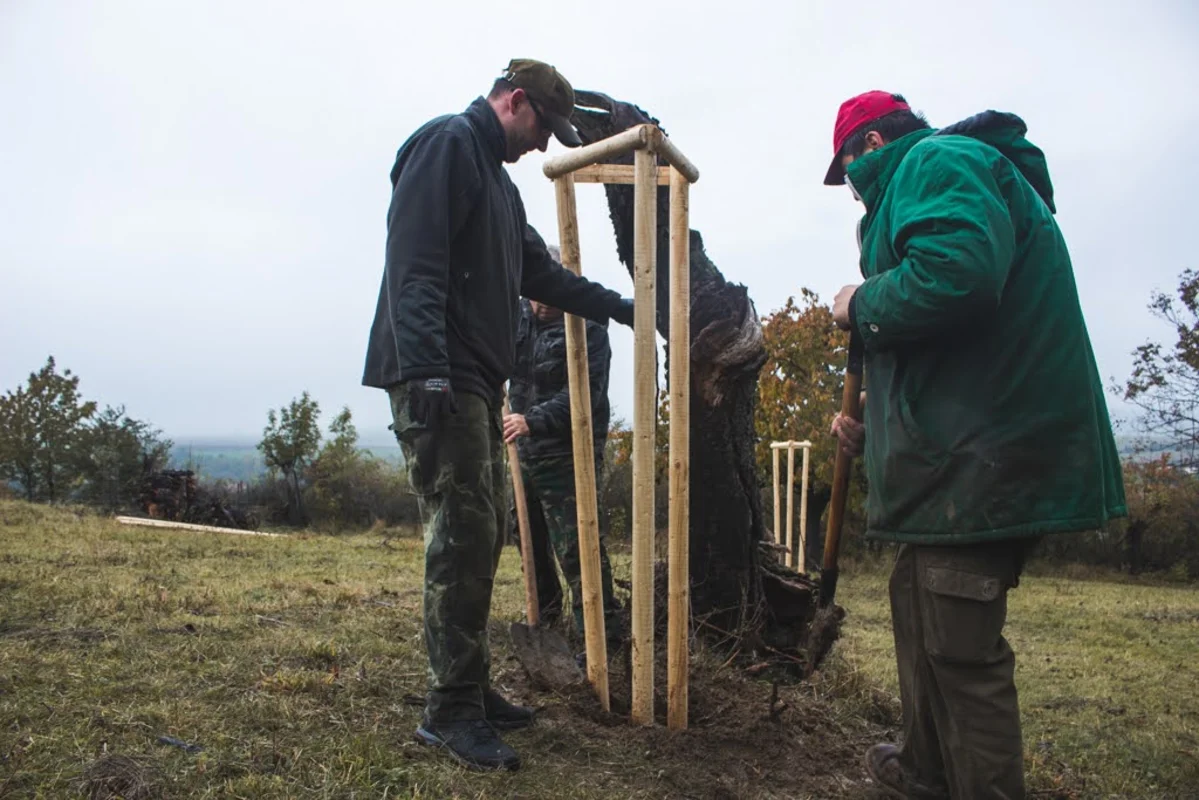 2020 - Říjen - Výsadba - 16