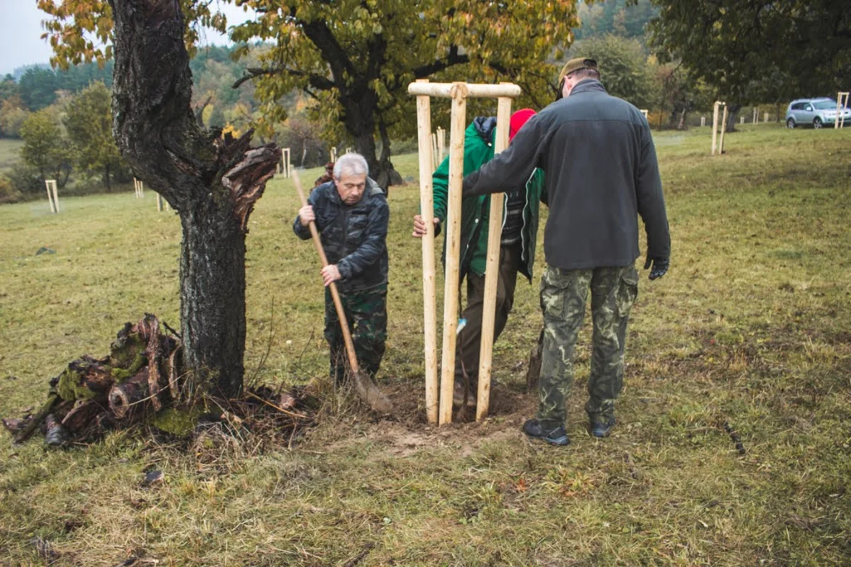 2020 - Říjen - Výsadba - 17