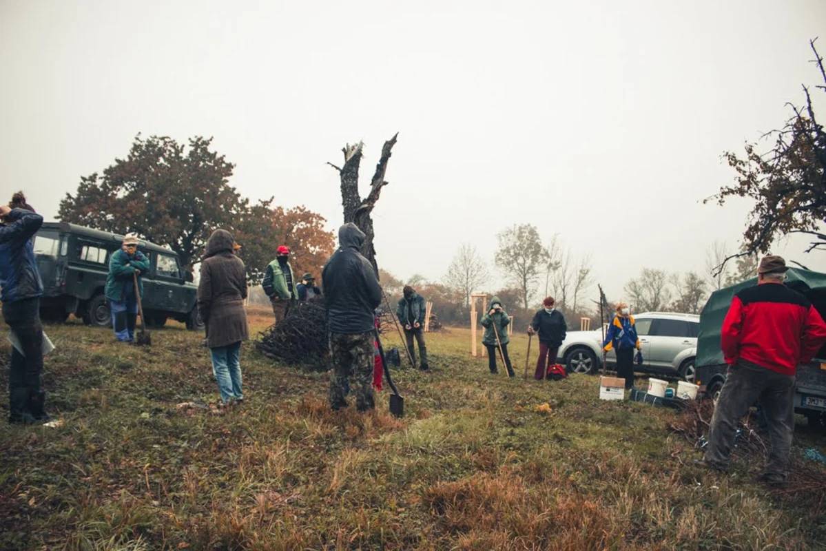 2020 - Říjen - Výsadba - 21