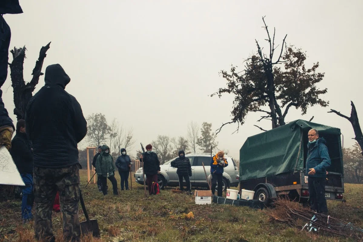 2020 - Říjen - Výsadba