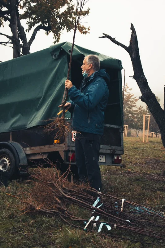 2020 - Říjen - Výsadba - 23