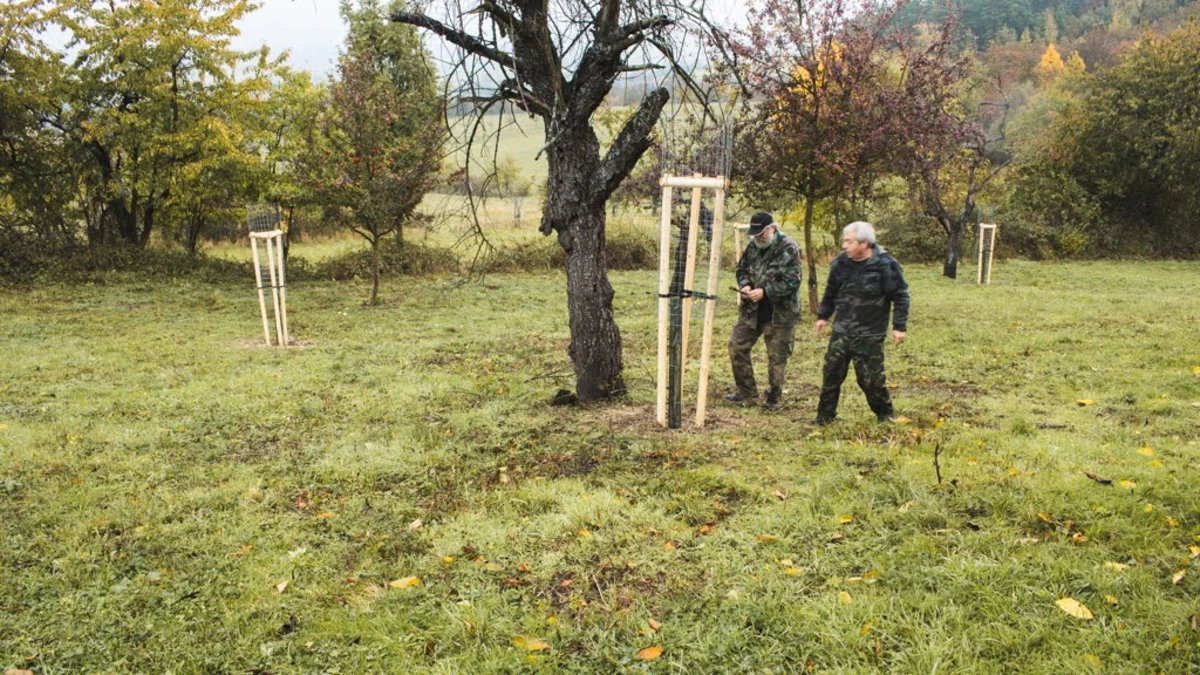 2020 - Říjen - Výsadba - 30