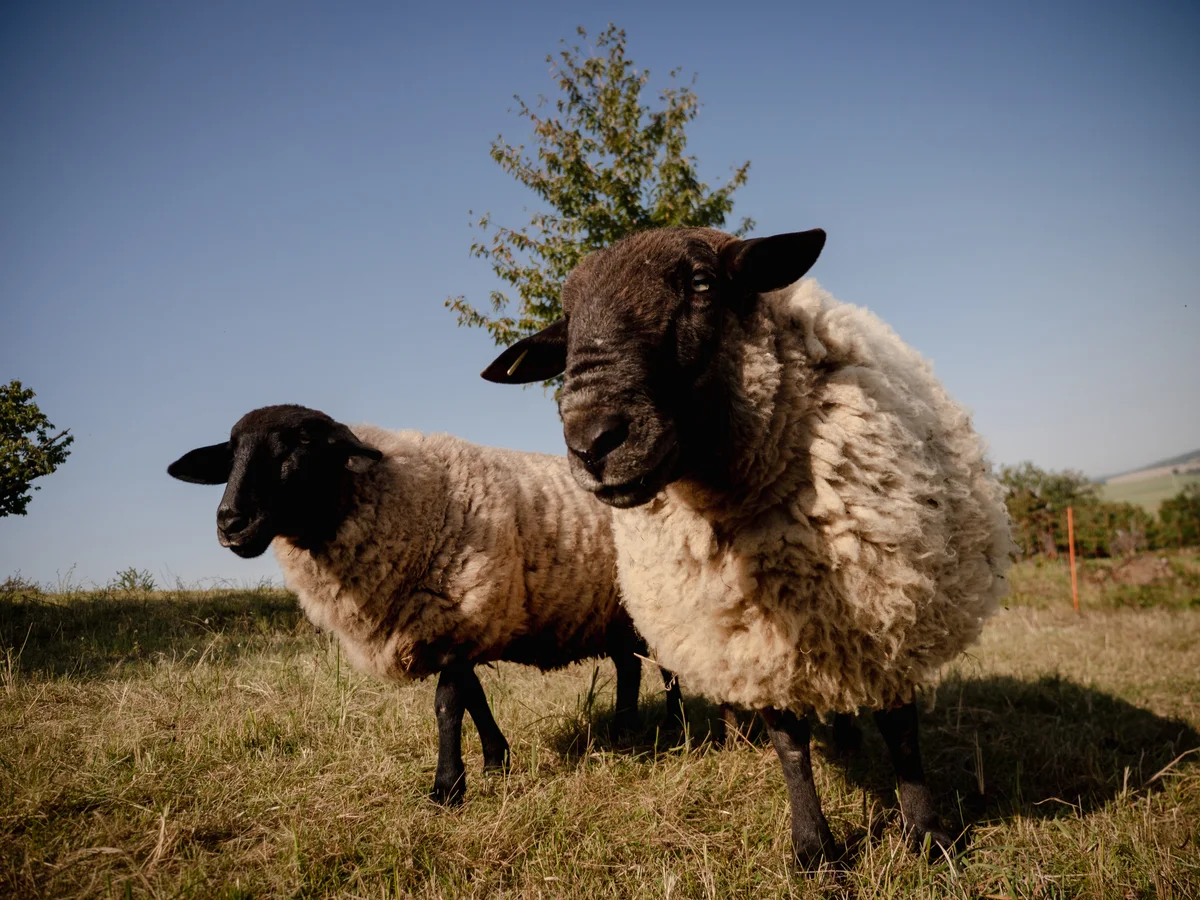 2020 - Září - Vyměřování - 2