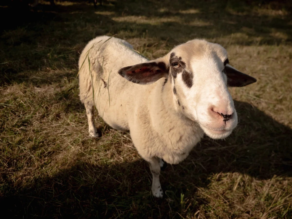 2020 - Září - Vyměřování - 3