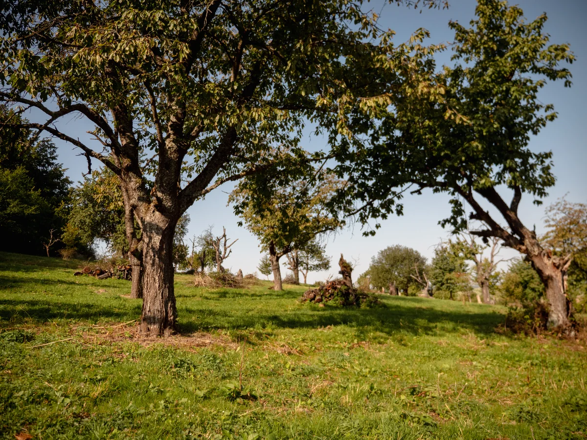 2020 - Září - Vyměřování - 6