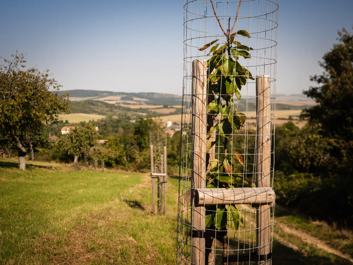 2020 - Září - Vyměřování - 8