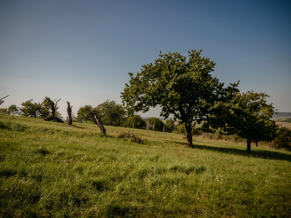 2020 - Září - Vyměřování - 36