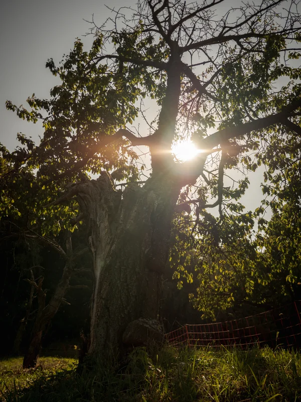 2020 - Září - Vyměřování - 39