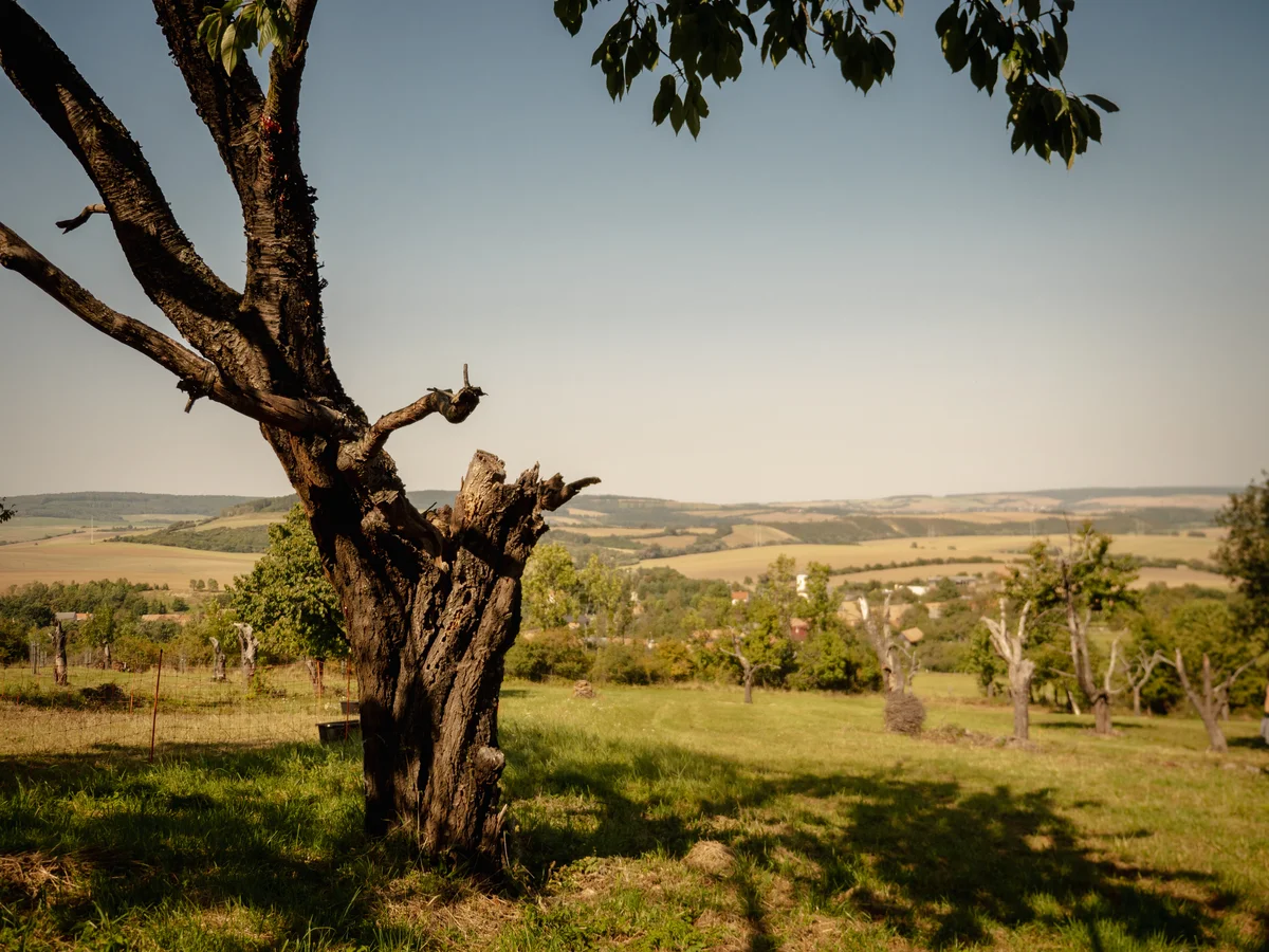 2020 - Září - Vyměřování - 41