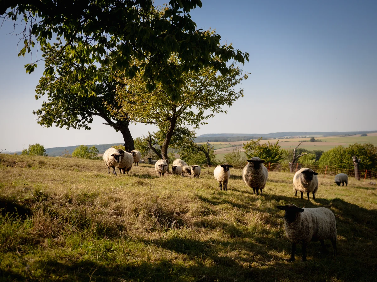 2020 - Září - Vyměřování - 42