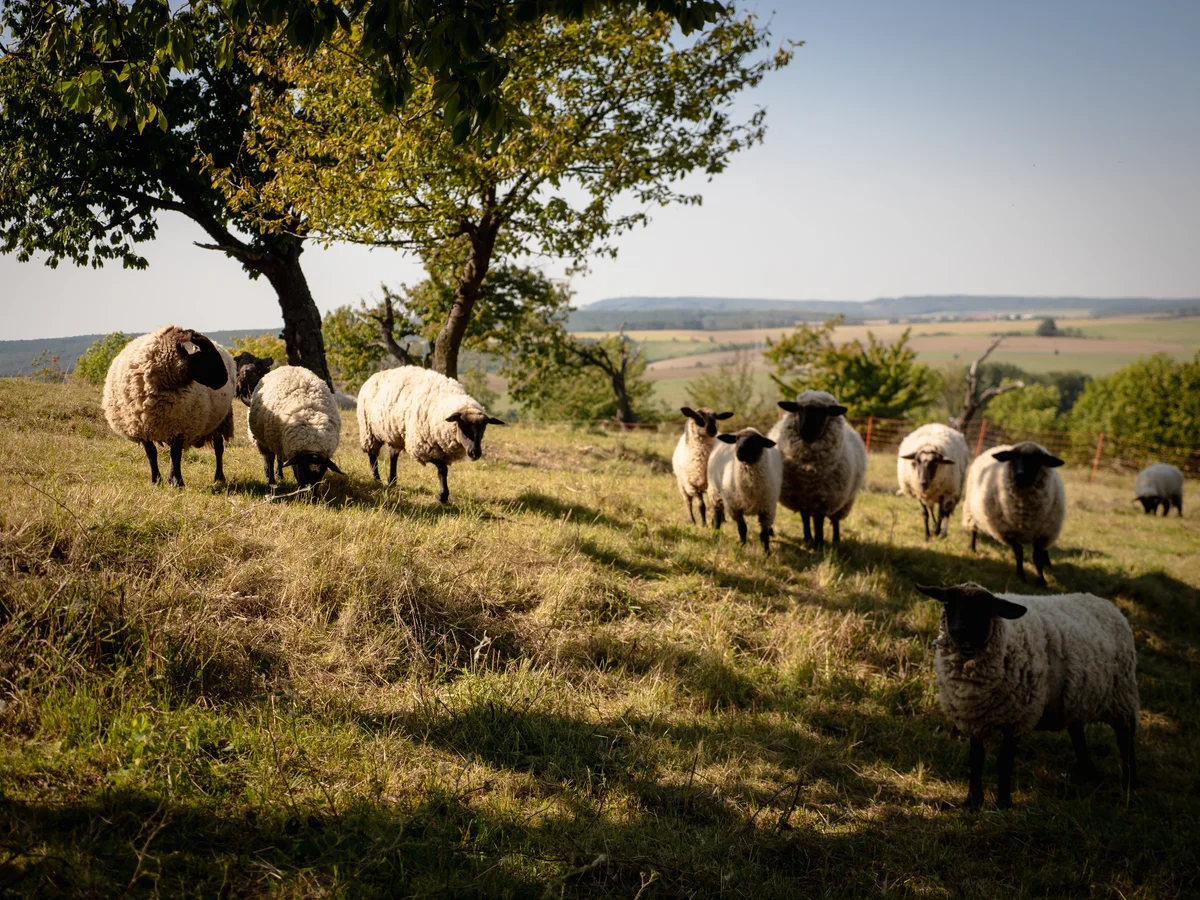 2020 - Září - Vyměřování - 43