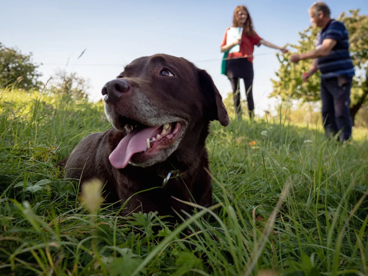 2020 - Září - Vyměřování