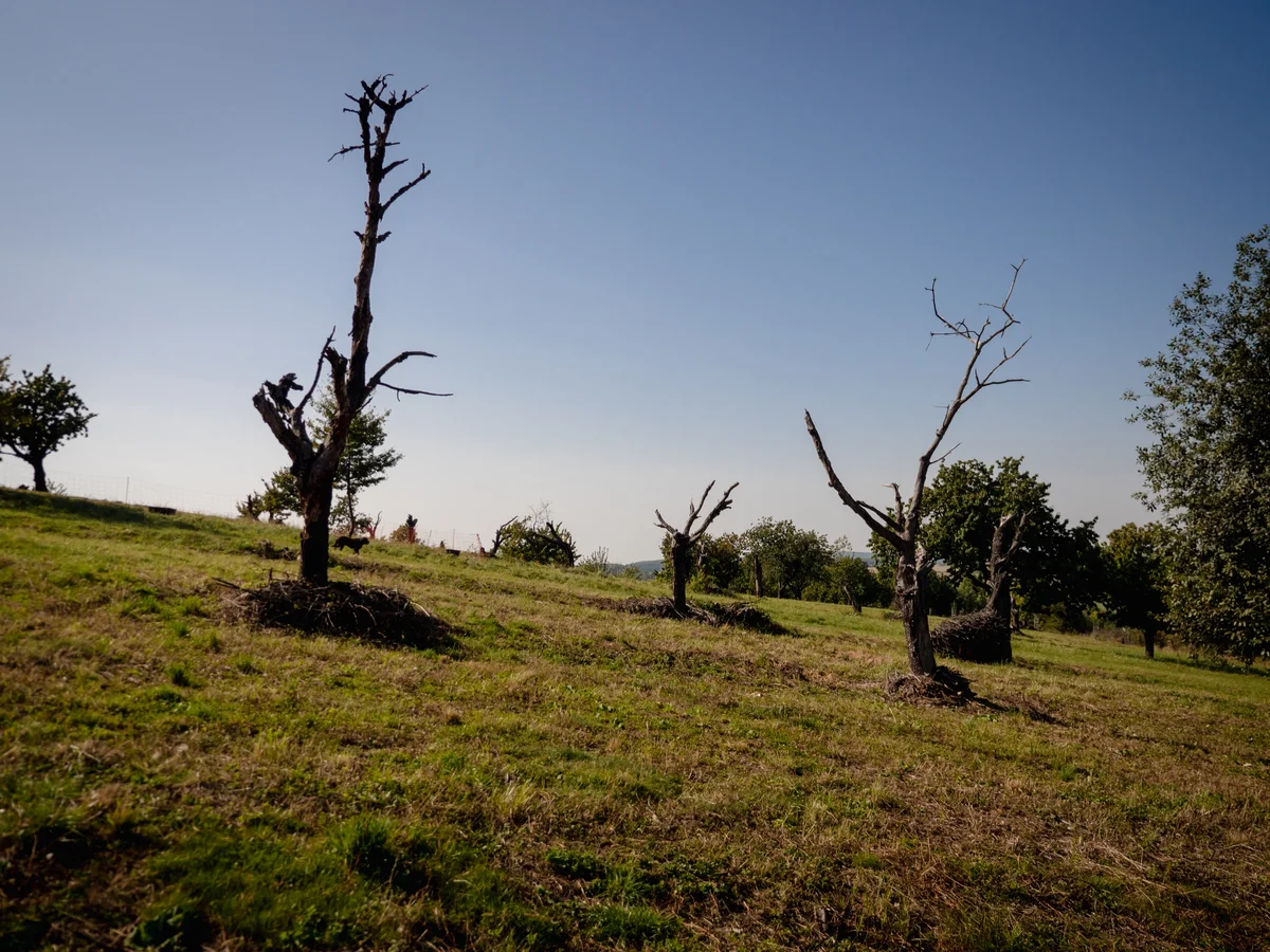 2020 - Září - Vyměřování - 50