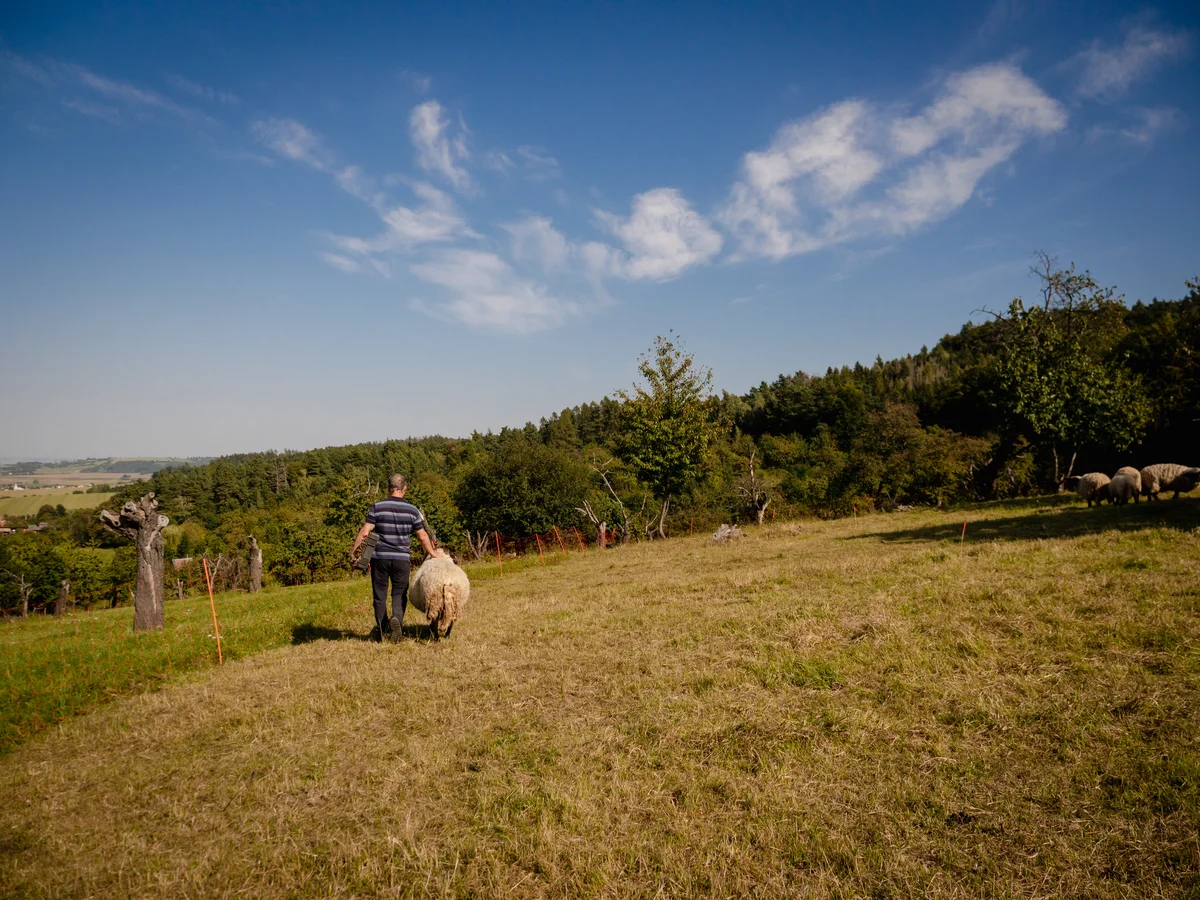 2020 - Září - Vyměřování - 53