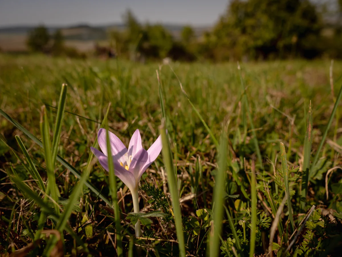 2020 - Září - Vyměřování - 55