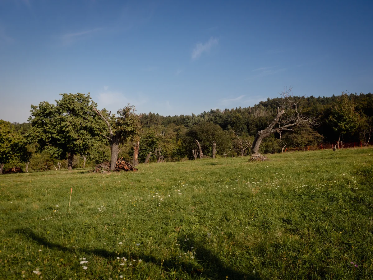 2020 - Září - Vyměřování - 59