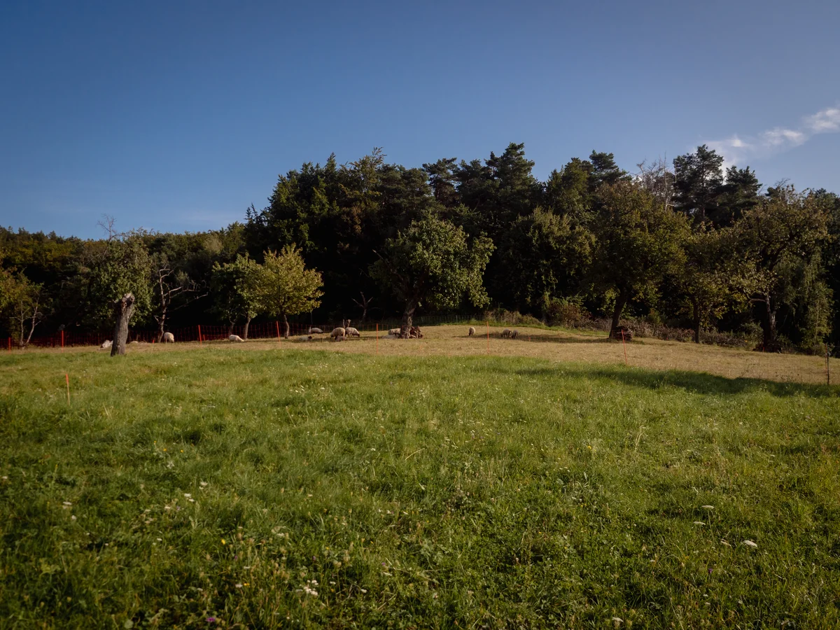 2020 - Září - Vyměřování - 60