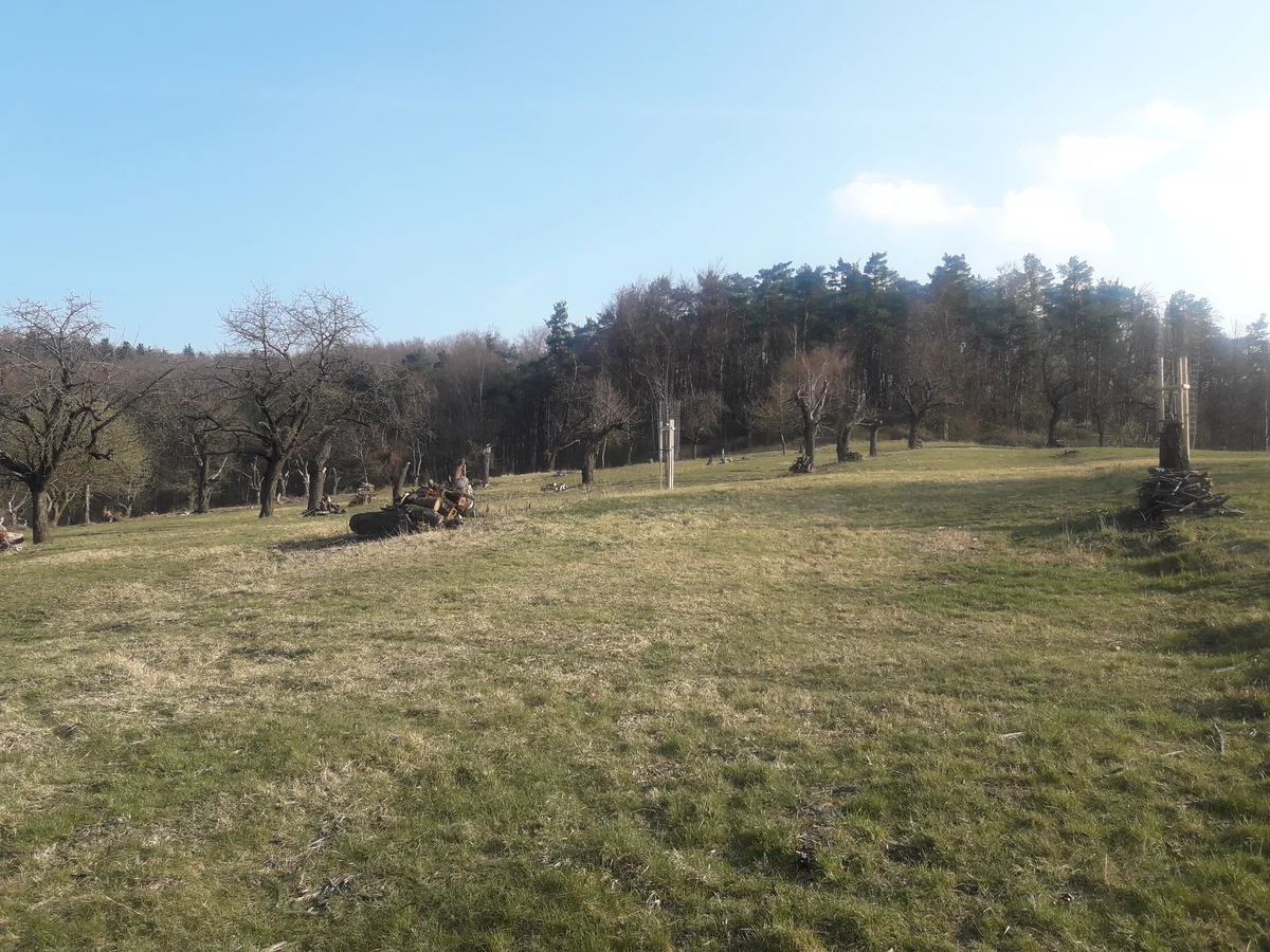 2020 - Celkový přehled - 1