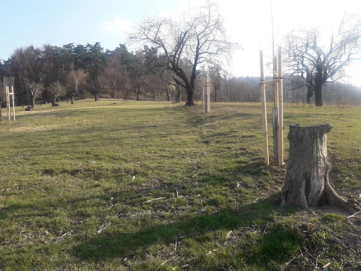 2020 - Celkový přehled - 3