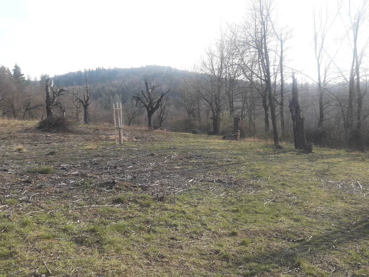 2020 - Celkový přehled - 4