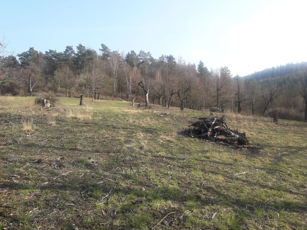 2020 - Celkový přehled - 5