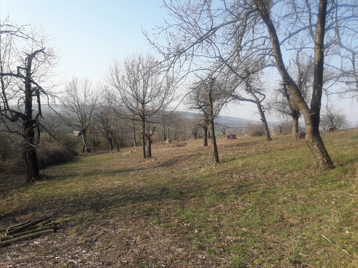 2020 - Celkový přehled - 6