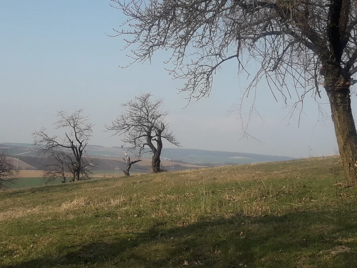 2020 - Celkový přehled - 7