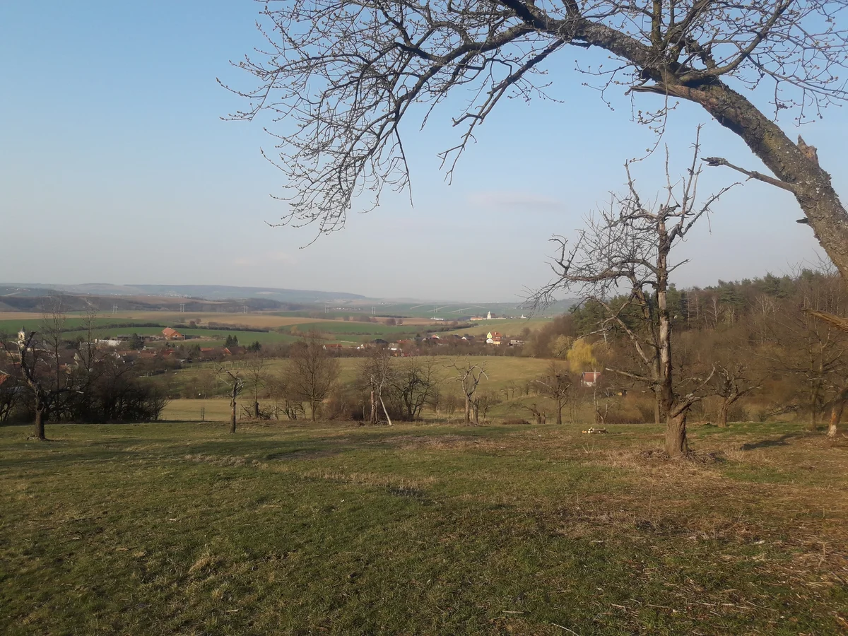 2020 - Celkový přehled - 9