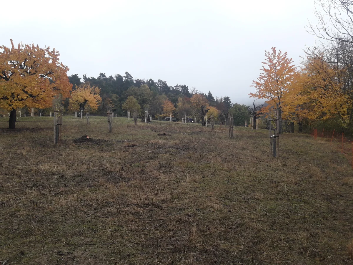 2020 - Celkový přehled - 12