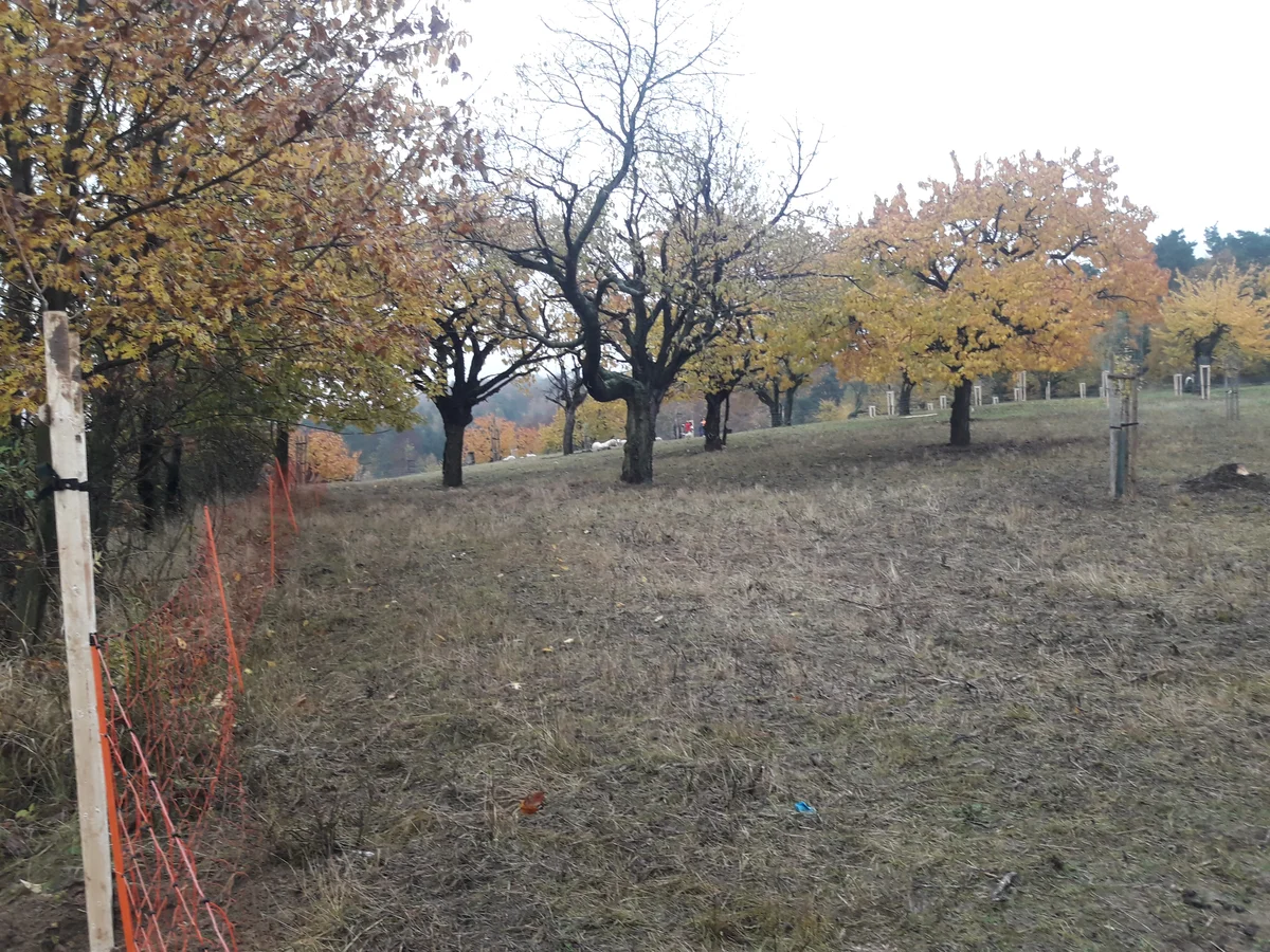 2020 - Celkový přehled