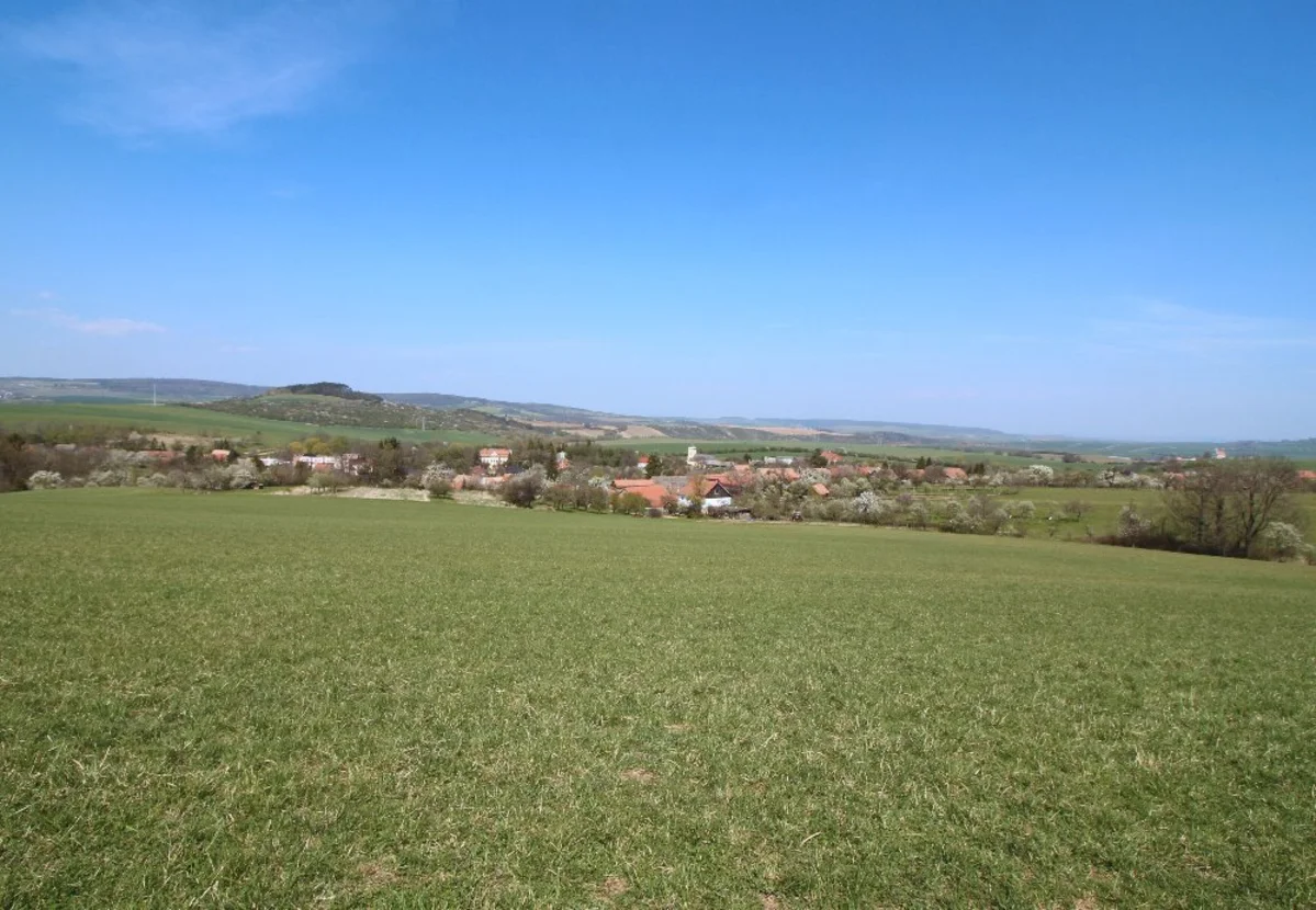 2020 - Celkový přehled - 18