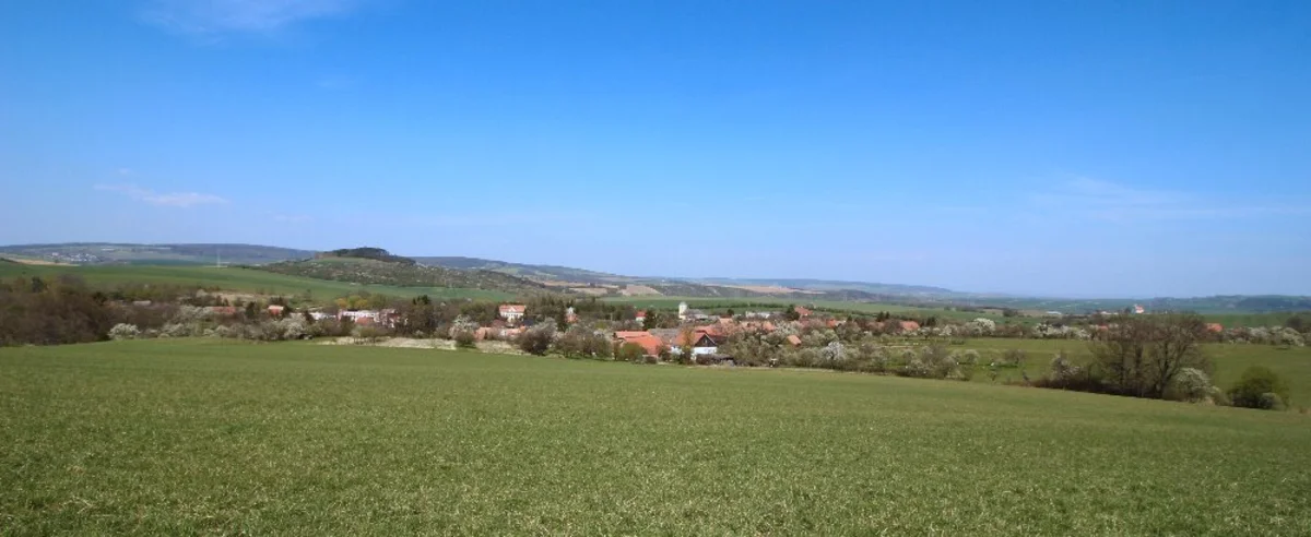 2020 - Celkový přehled - 16