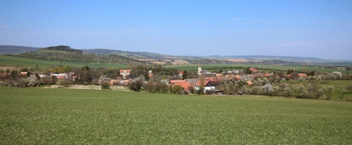 2020 - Celkový přehled - 19